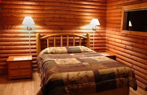 Foresta Cabin | INSIDE Yosemite! Log Cabin, Views of Half Dome & El Capitan. Starry skies!