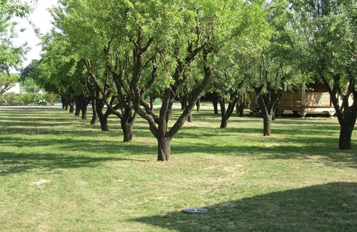 Bourdic Cottage | INSOLITE BOIS & VERDURE/Private swimming pool and tennis court/NEAR UZES - SAMANE