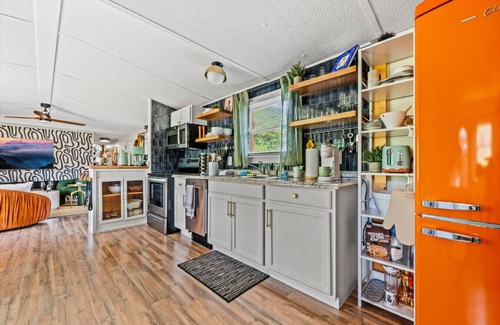 Sevierville House | Insta-Fab Mod + Murals + Cowboy Pool