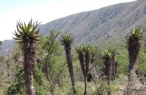 Sundays River Valley House | Intaba Lodge