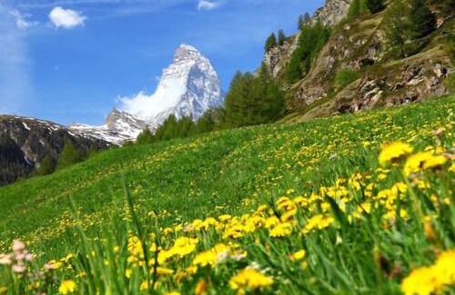 Zermatt Apartment | Interhome - Brigitte