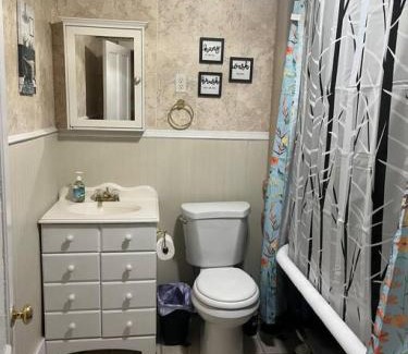 Binghamton Apartment | Intimate 1 Bedroom Apt by UHS