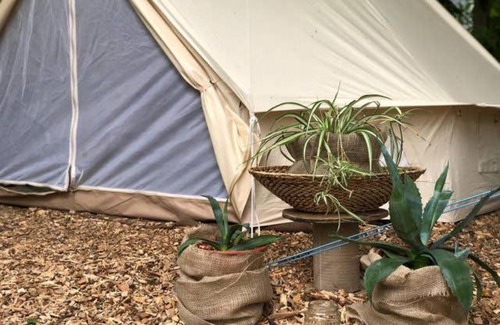 Markt Nordheim Other | Into the Green Glamping - Great Hazelnut