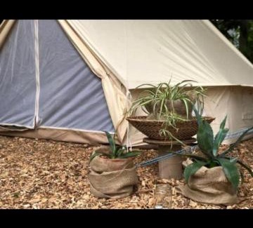 Markt Nordheim Other | Into the Green Glamping- Maple