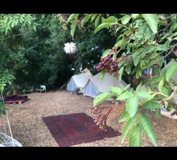 Markt Nordheim Other | Into the Green Glamping- Maple