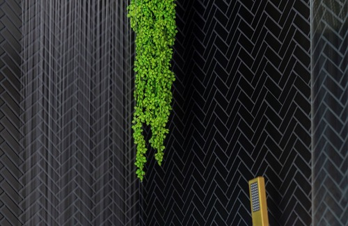 Italian Village Resort | Into the Jungle