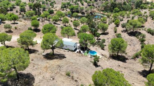 Martim Longo Other | Into the wild
