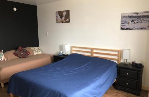 Churchill House | Inukshuk Rooms