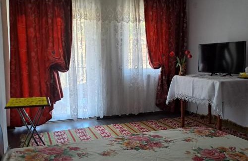Runcu House | Ionuț residence