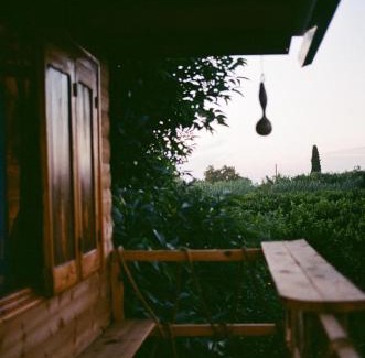 Pineios House | Irene's Treehouse