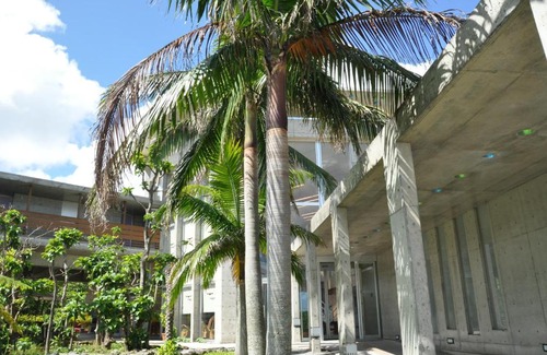 Iriomote-jima Taketomi-cho Hotel | Iriomotejima-Jungle Hotel Painumaya