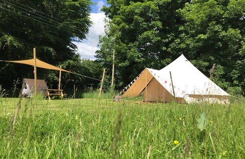 Swannington Cabin | Iris, peaceful and hidden away in rural Norfolk amongst wild flowers.