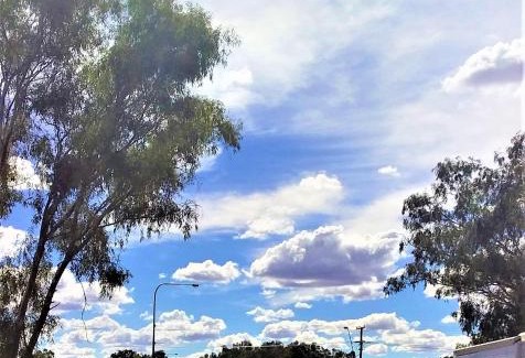 Barcaldine Hotel | Ironbark Inn