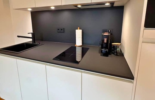 Waldshut-Tiengen Apartment | Isaak apartment "Löwenbau" E1-W07