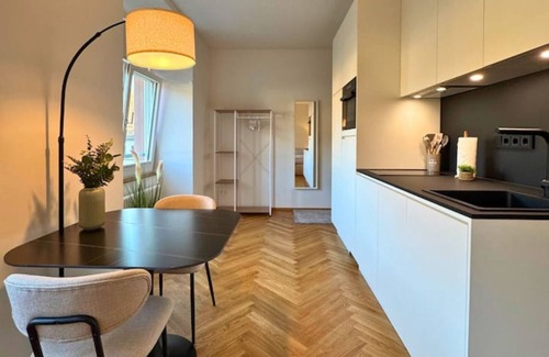 Waldshut-Tiengen Apartment | Isaak Apartment Löwenbau E2-W05