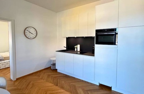Waldshut-Tiengen Apartment | Isaak Apartment Löwenbau E2-W07