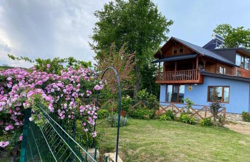 Fatsa Villa | Isabella Kırsal Yaşam Evi
