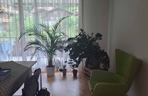 Iseltwald Apartment | ISELTWALD! A place where dreams come true.