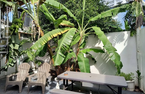 San Juan House | Isla Verde Beach -Bars-Restaurants Great for Near Airport Stop-N-Go