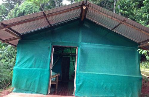 Sierpe Cabin | Isla Violin Eco-Lodge