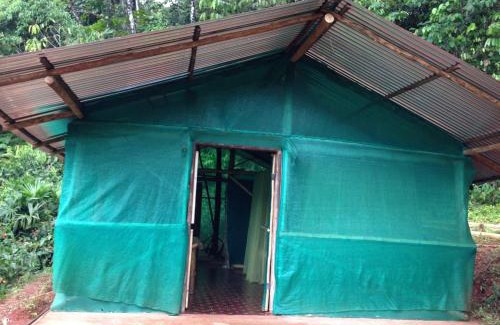 Sierpe Cabin | Isla Violin Eco-Lodge