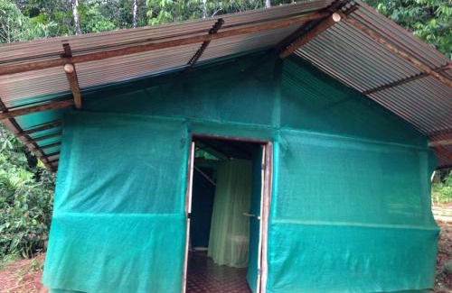 Sierpe Cabin | Isla Violin Eco-Lodge