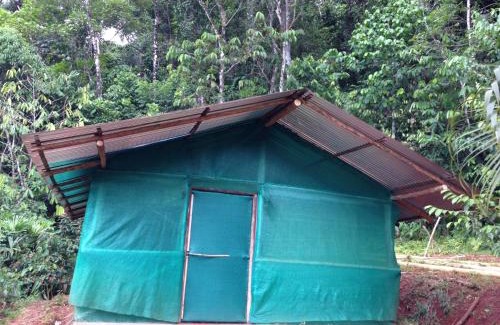 Sierpe Cabin | Isla Violin Eco-Lodge