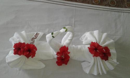 Nadi Bed & Breakfast | Island Accommodation Nadi