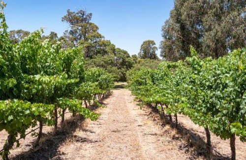 Yelverton House | Island Brook Estate Vineyard and Chalets
