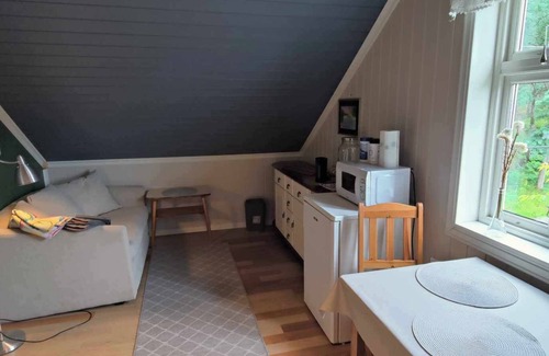 Sarpsborg House | Island house room Shared entrance with hosts Two single beds + sofa bed Small kitchen