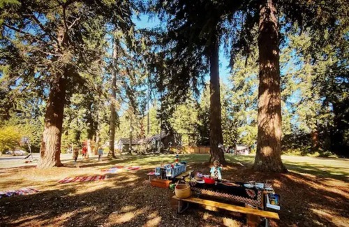 Clinton House | Island Jungalow Surrounded by Evergreens