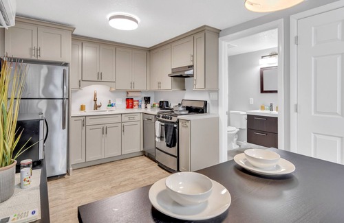 Davis Islands Apartment | Island Paradise APT by DT/Hyde Park/TGHospital