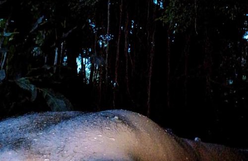 Maspotha Other | Islandwide G camping