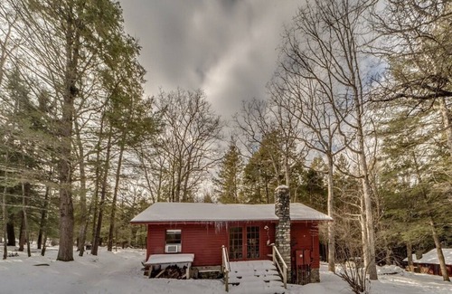 Milford Cottage | Isolated Charming Knotty Pine Cottage on 575 Acre Forest Preserve