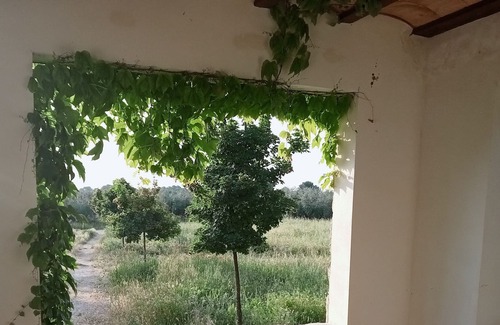 Moratalla Cottage | Isolated house in the middle of nature.