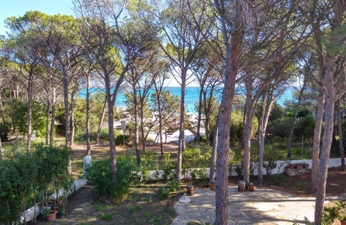 Cala Liberotto Apartment | PINE CONE DIRECT ACCESS TO THE BEACH (NO WIFI) CIN IT091063C2000S5156