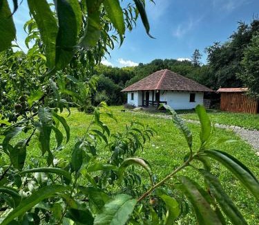 Turya Paseka House | IT-Hutorok