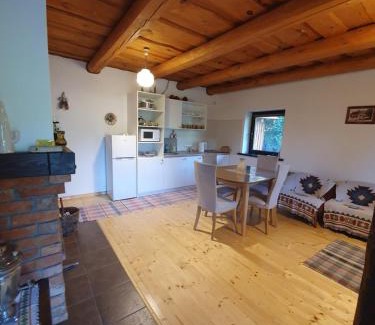 Turya Paseka House | IT-Hutorok