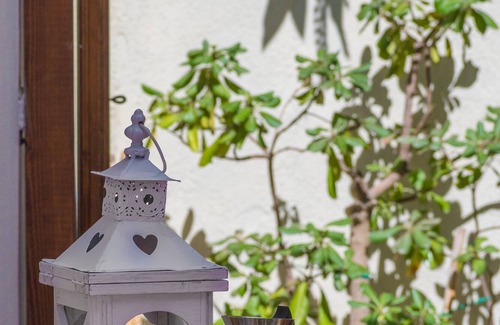 Marina di Pisa House | A little gem a stone's throw from the sea