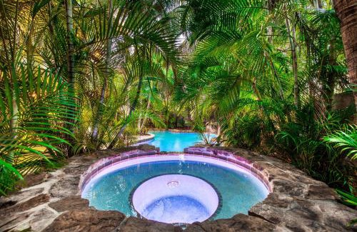 Holmes Beach House | It's a Jungle Out There
