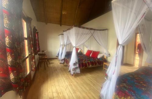 Itambira Island Hotel | Itambira Island, Seeds of Hope