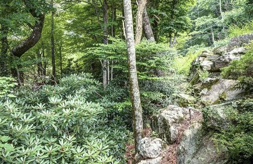 Blowing Rock Cottage | It’s time to plan your summer get away!