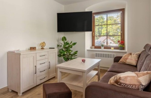 Olesnice v Orlickych horach House | IVA by Interhome