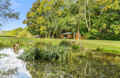 New Forest District House | Ivy Cottage Holiday Cabins