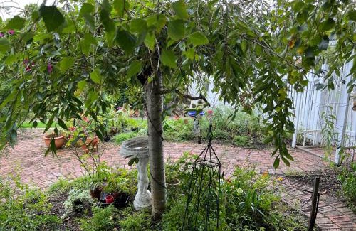 Lakes Entrance Bed & Breakfast | Ivy May Cottage