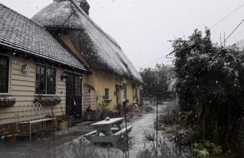 Howlett End House | Ivy Todd cottage