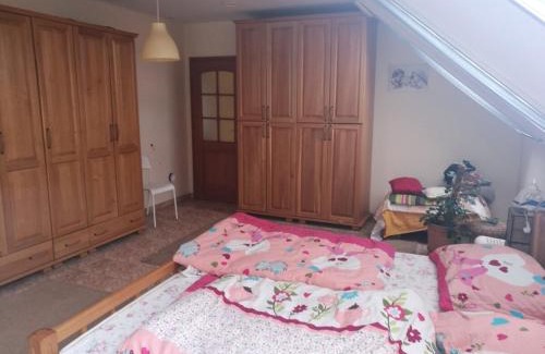 Stupava Bed & Breakfast | Izba v Stupave