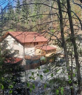 Petrosani House | Izvorul Maleii