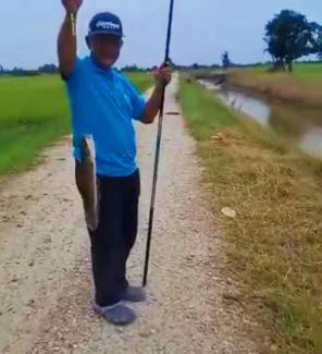 Sungai Besar Ski Chalet | Izz Homestay Sawah Padi Sungai Besar !