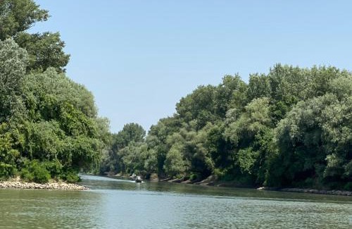 Csongrad House | Jókai 10 Vendégház Présház Csongrád